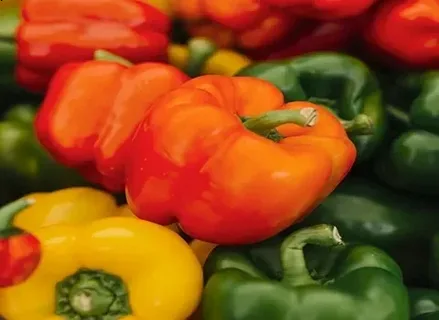 تصویر 3 از فلفل دلمه رنگی گلخانه ای ارگانیک لوکس